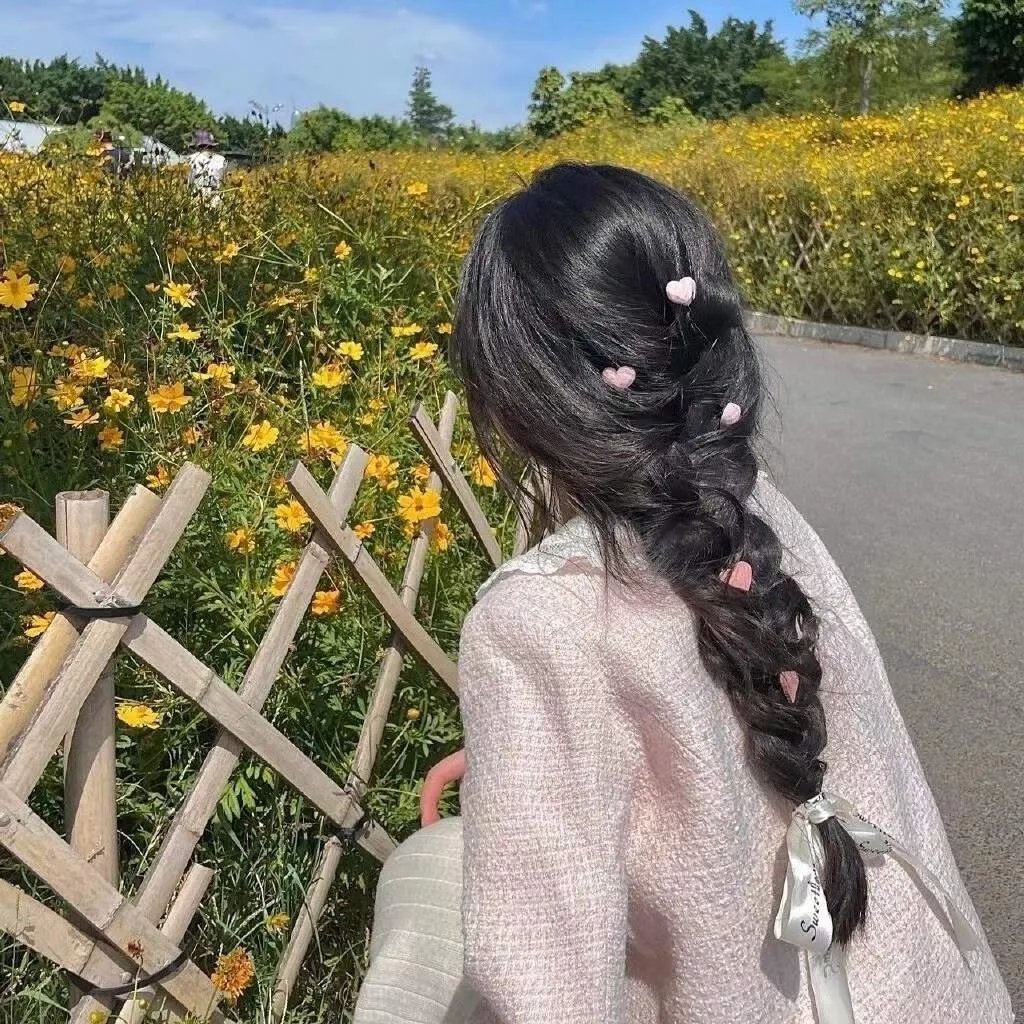 房子与狗